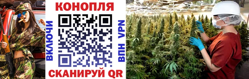 Конопля OG Kush  Болхов 
